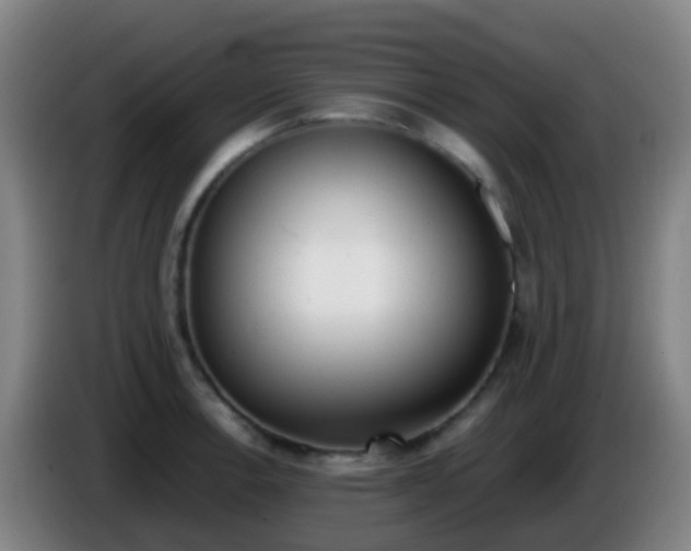 X0000086111138200703301231