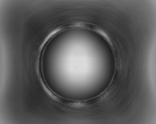 X0000086111139200703301231