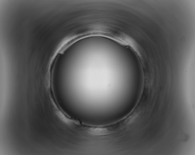 X0000086111140200703301231