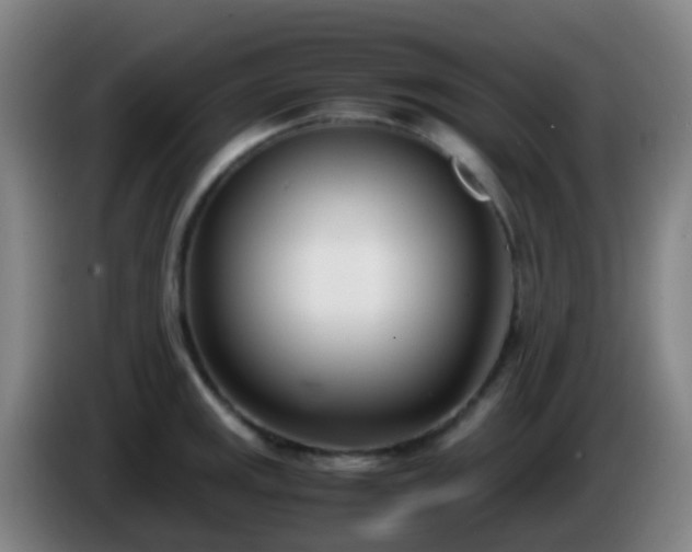 X0000086111141200703301231