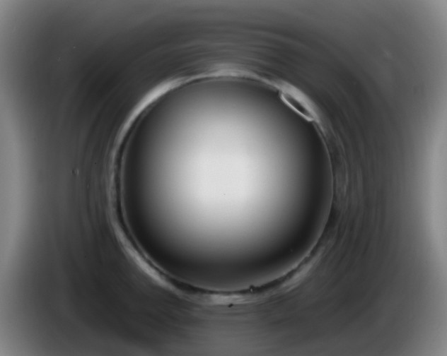 X0000086111142200703301231