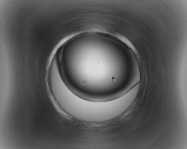 X0000086111144200703301231