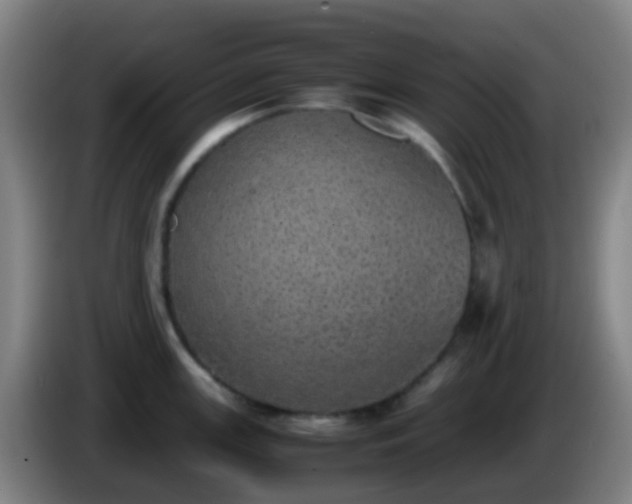 X0000086111147200703301231