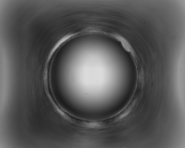 X0000086111149200703301231