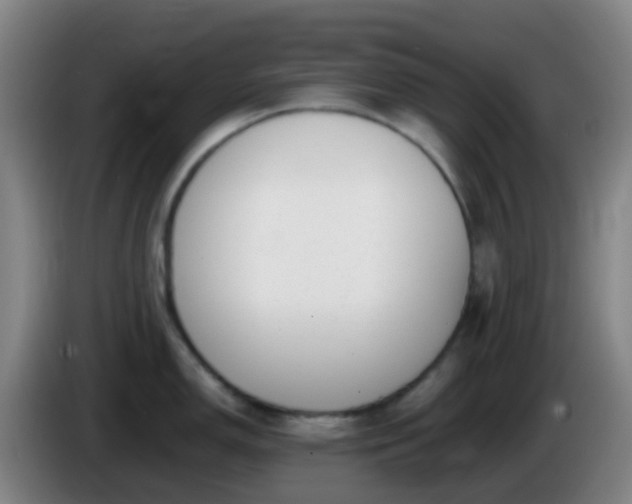 X0000086111150200703301231