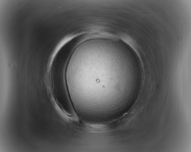 X0000086111152200703301231