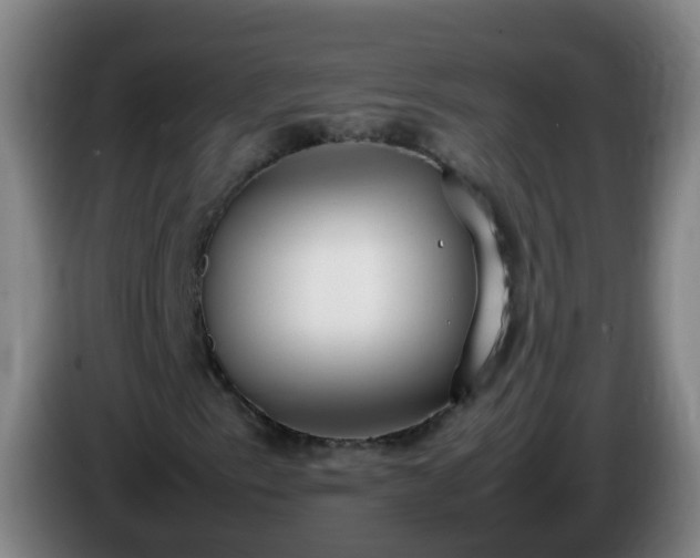 X0000086111153200703301230