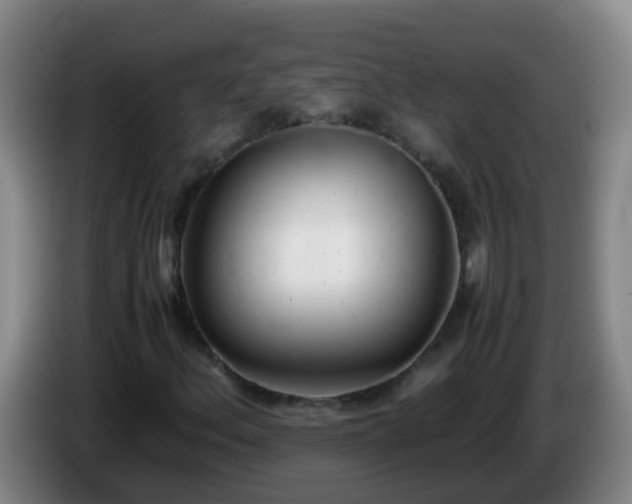 X0000086111156200703301230