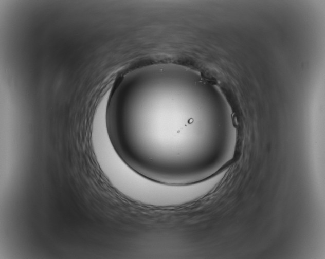 X0000086111157200703301230