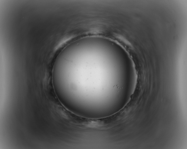 X0000086111160200703301230