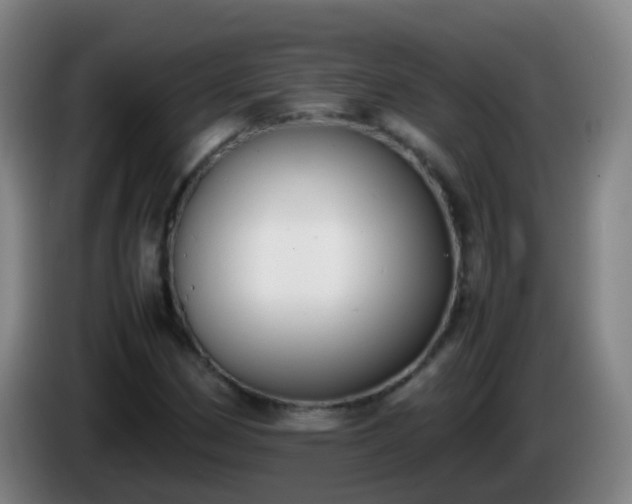 X0000086111162200703301230