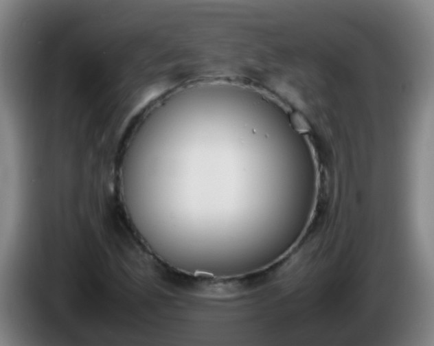 X0000086111165200703301230