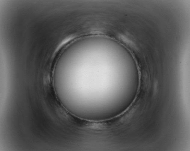 X0000086111166200703301230