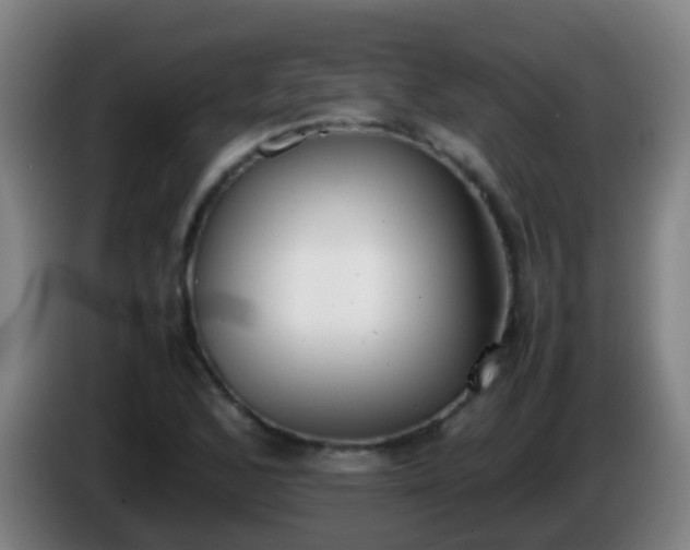 X0000086111168200703301230