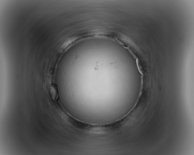 X0000086111169200703301230