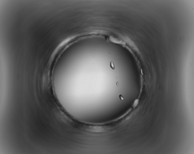 X0000086111172200703301230