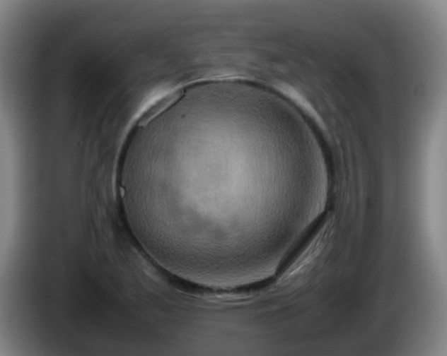 X0000086111173200703301230