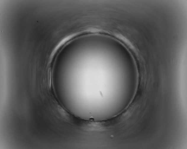 X0000086111175200703301230