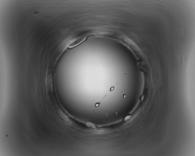 X0000086111177200703301230