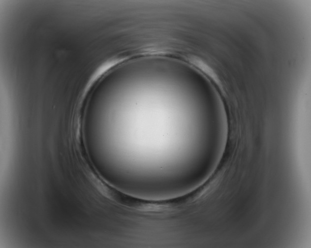 X0000086111179200703301230