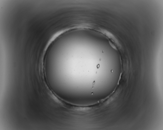 X0000086111184200703301230