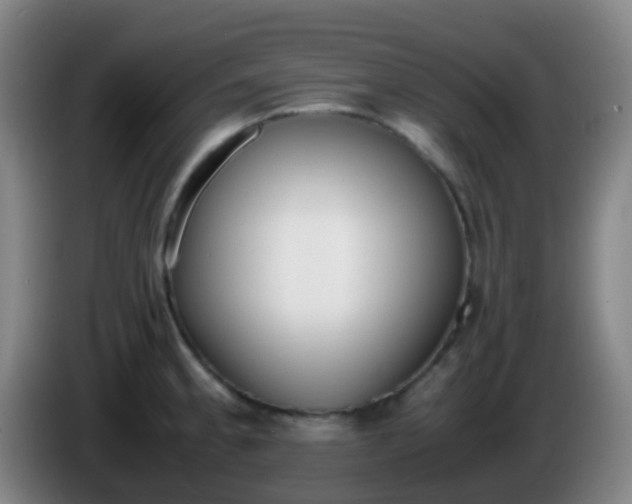 X0000086111189200703301230