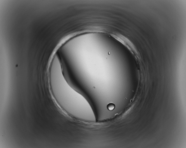 X0000086111192200703301230