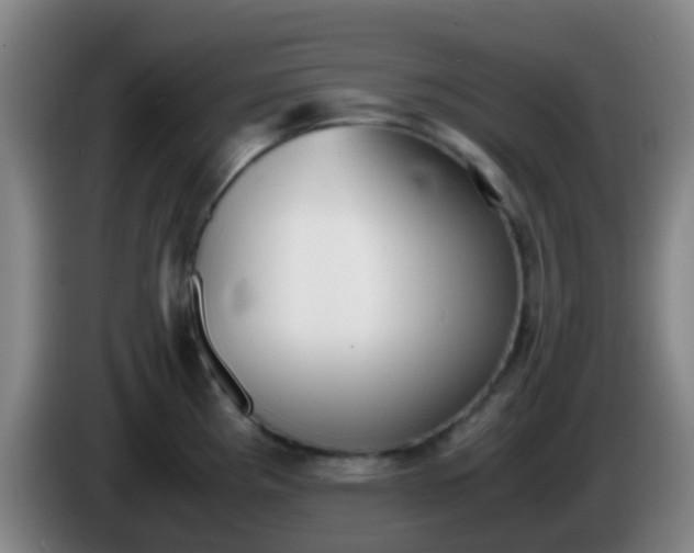 X0000086111193200703301230