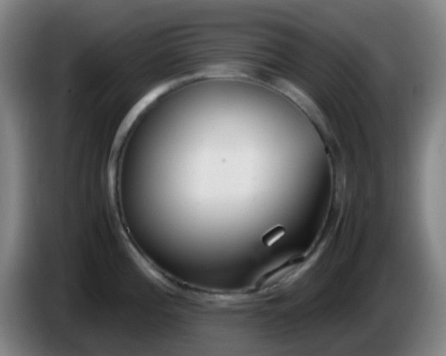 X0000086111196200703301230