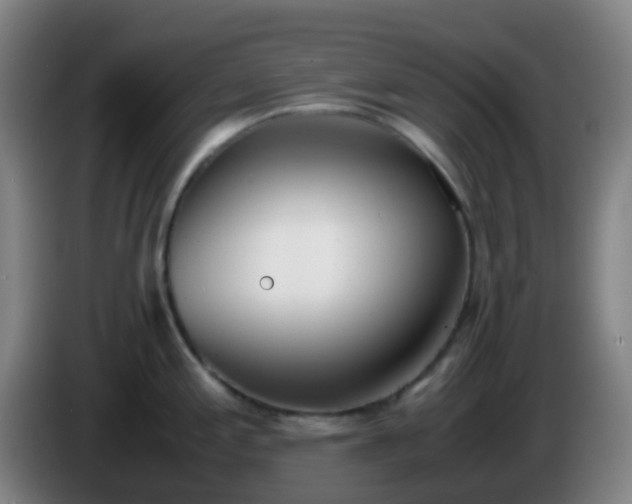 X0000086111197200703301230