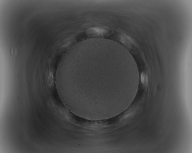 X0000086111203200703301229