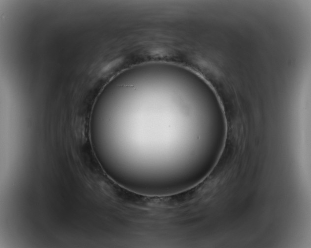 X0000086111205200703301229