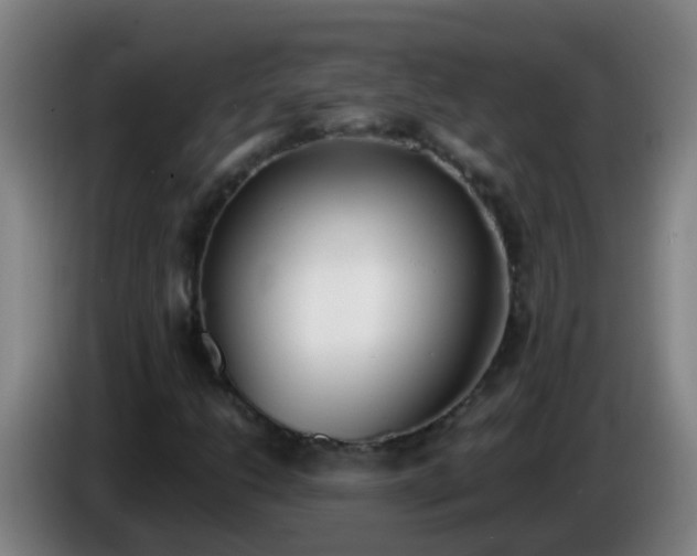 X0000086111206200703301229