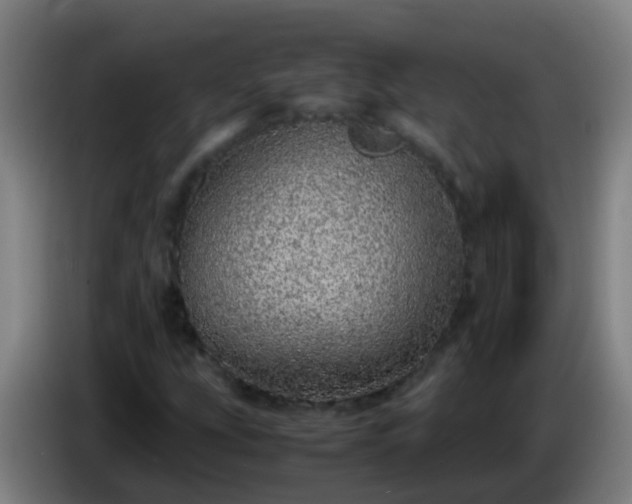 X0000086111207200703301229