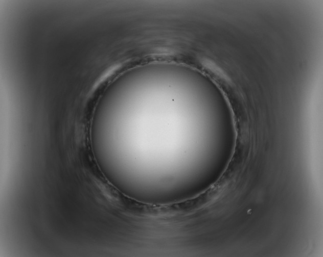 X0000086111208200703301229