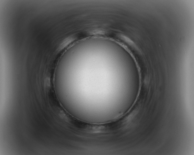 X0000086111209200703301229