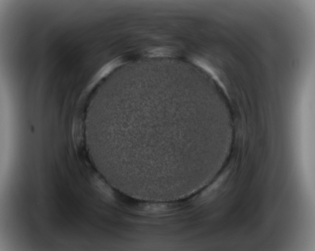 X0000086111211200703301229