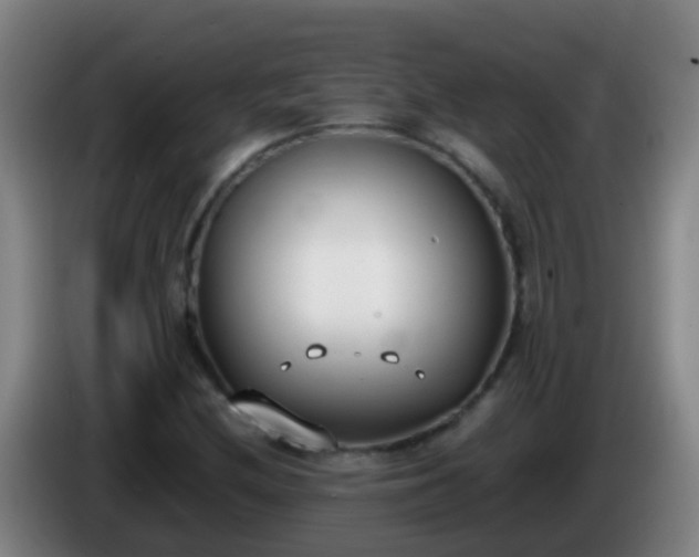 X0000086111212200703301229