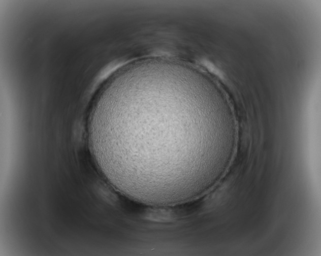 X0000086111215200703301229