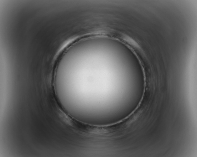 X0000086111216200703301229