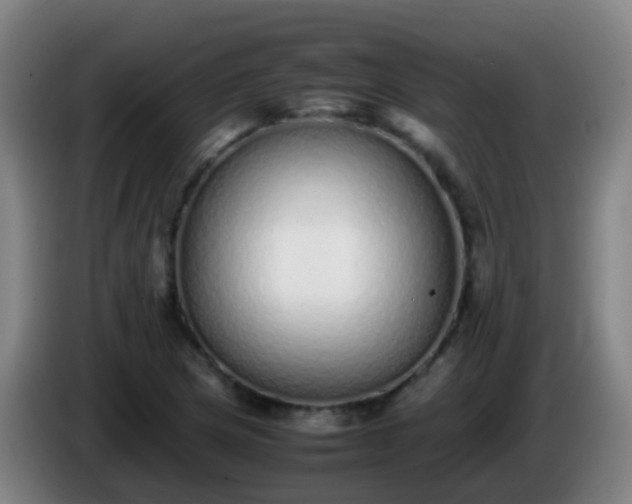 X0000086111217200703301229