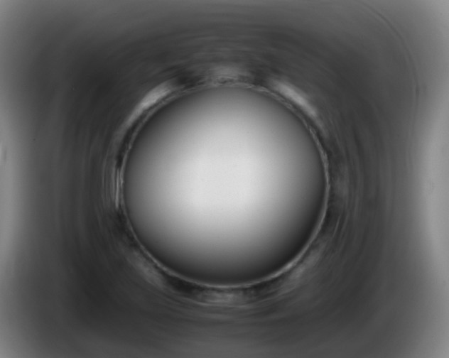 X0000086111219200703301229