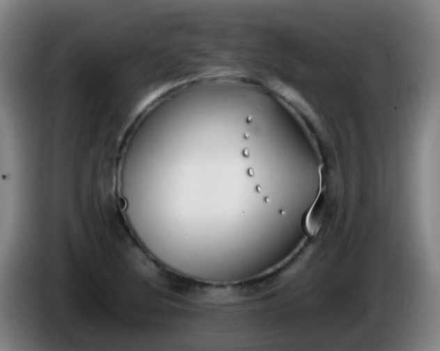 X0000086111220200703301229