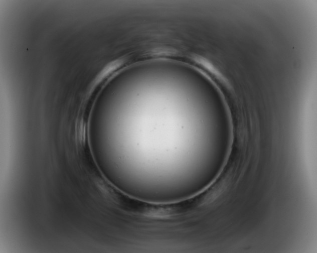 X0000086111221200703301229