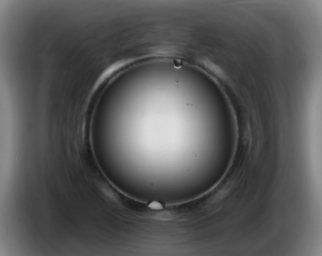 X0000086111222200703301229