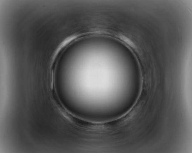 X0000086111223200703301229