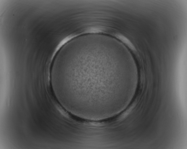 X0000086111226200703301229