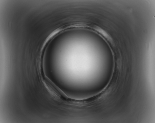 X0000086111229200703301230