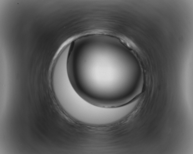 X0000086111230200703301230