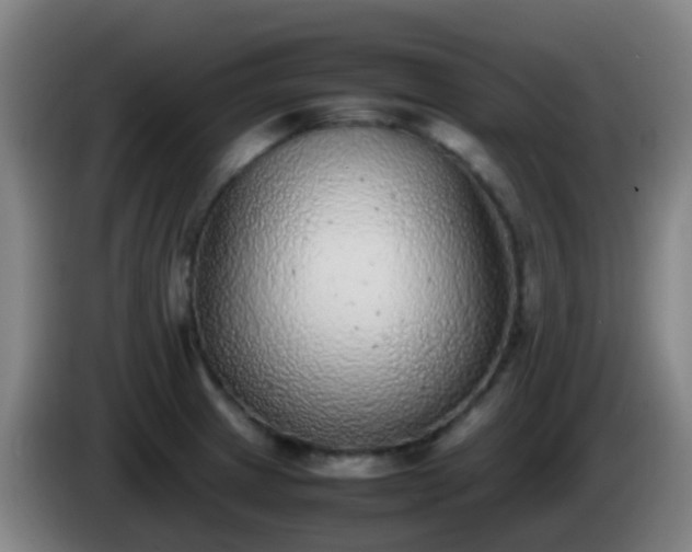 X0000086111233200703301230